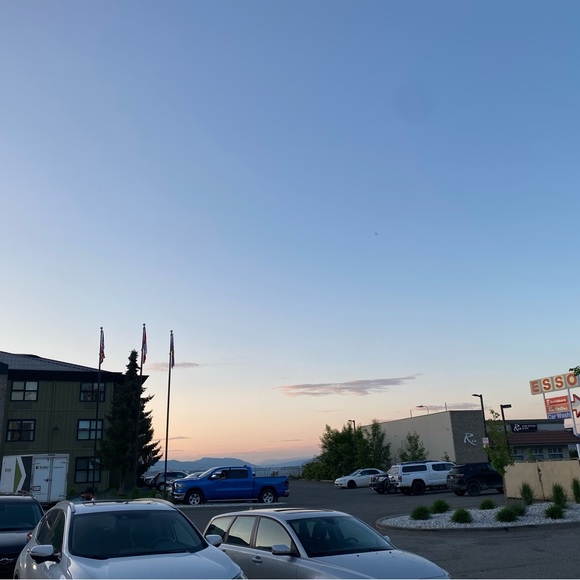 Meet your Posher, Sage - Picture 1 of 1